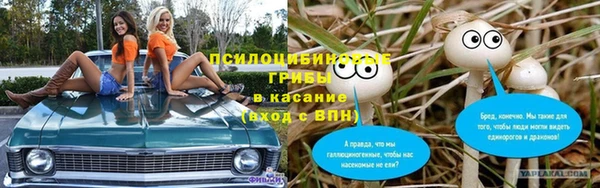 МДПВ Алексеевка