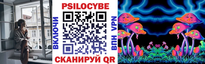 OMG как зайти Ардатов Псилоцибиновые грибы мухоморы